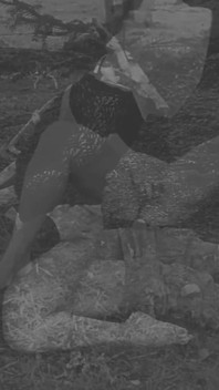 수페리어 수녀의 음란한 재미