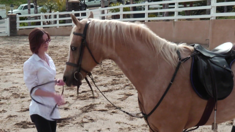 Girl on Girl: Two Beautiful Teens Get It Going in a Stable