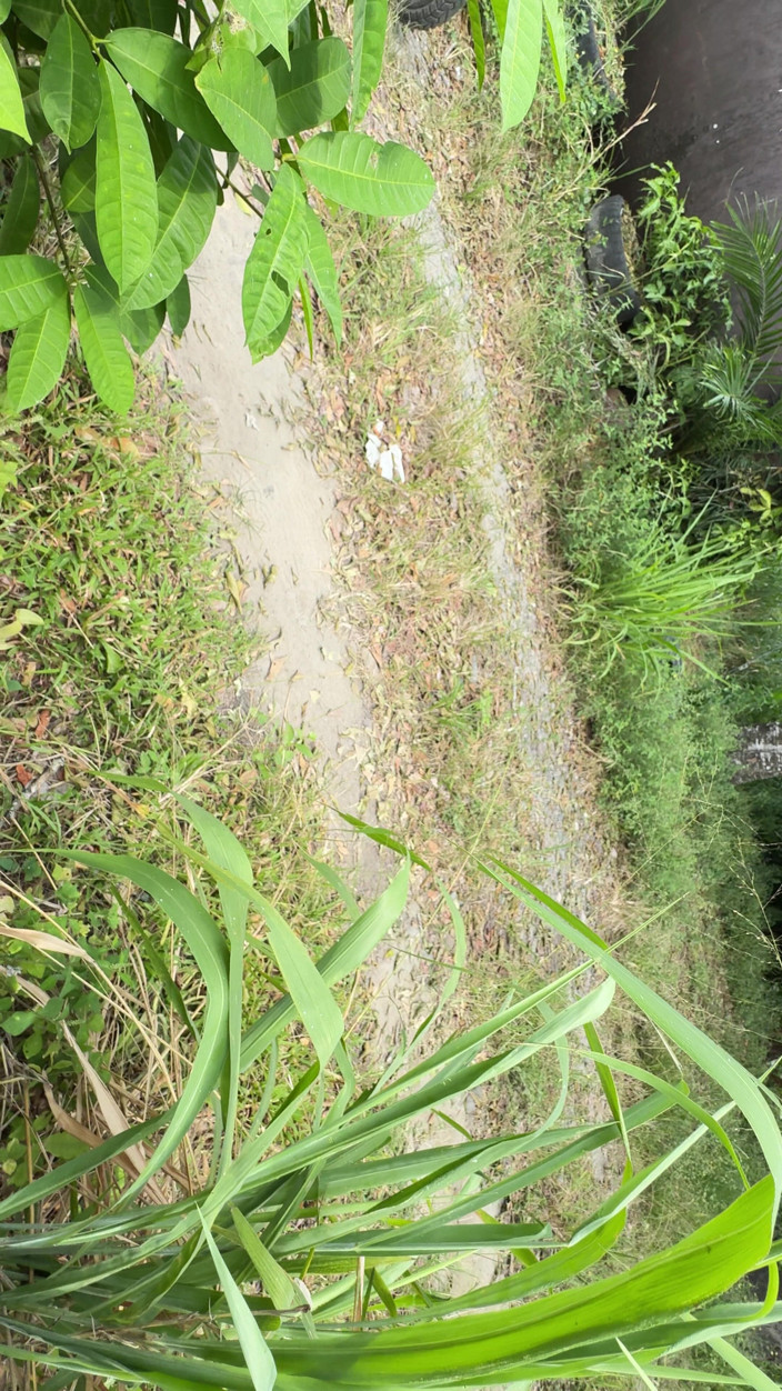 EMY_AND_JONH: Wanita petani Colombia melancap di luar rumahnya supaya jiran boleh...