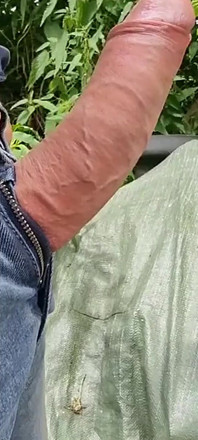 내 큰 뚱뚱한 자지를 가지고 밖에서 놀기