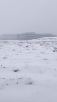 Snowy Exposure: Nude Flex & Frigid Cum Blast in Public