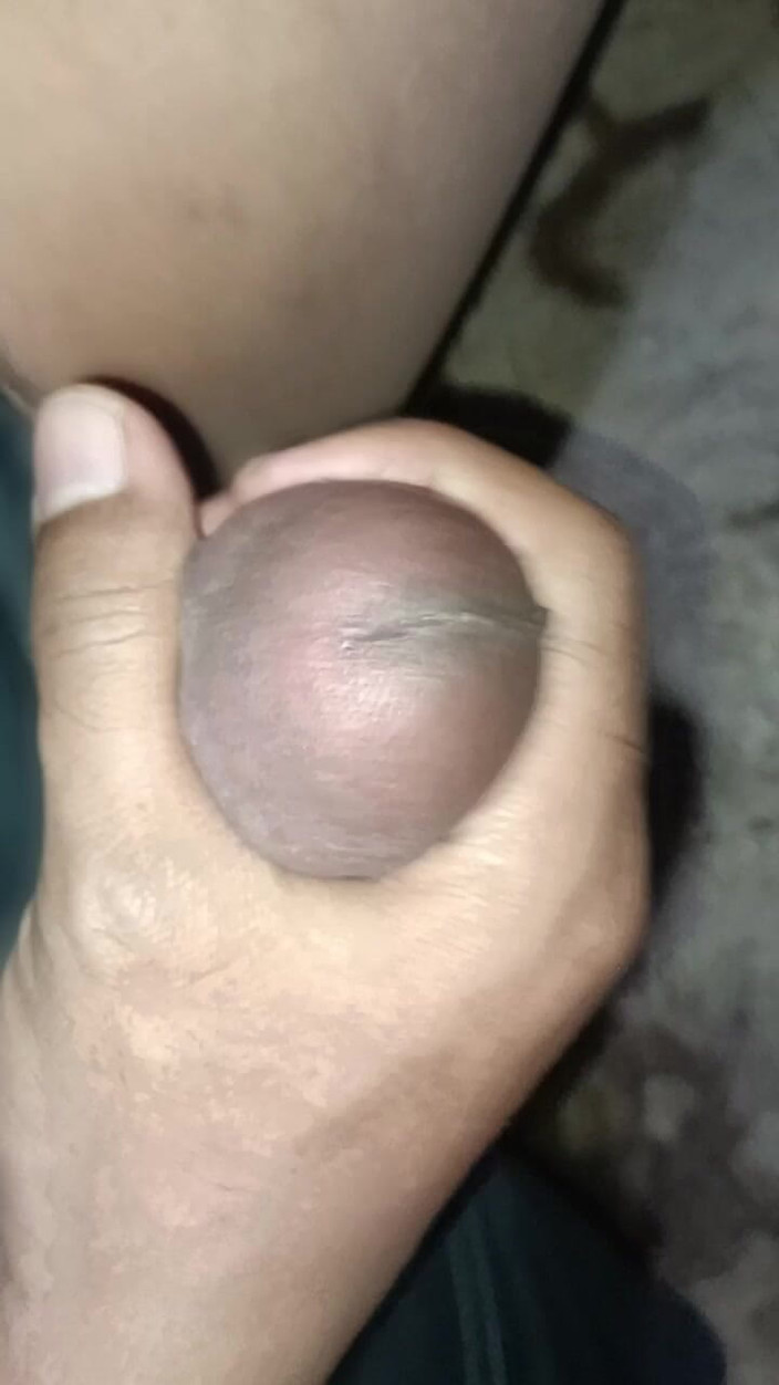 Renata Himalaya: 重复的精子射在我的鸡巴上
