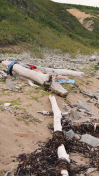 Encuentro fatal del exhibicionista y un extraño en la playa del mar