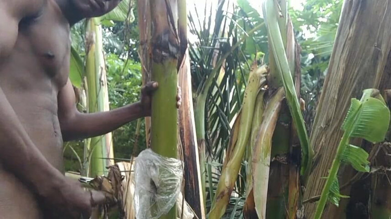 Bangcum8: Lelaki Bersendirian Di Dalam Hutan Dan Jadikan Pokok Plantain Adalah...