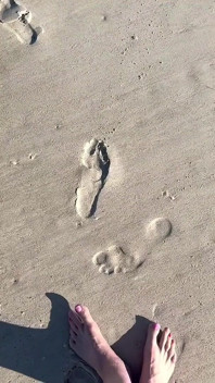 Comparând dimensiunea de 16 picioare cu sand print-uri la plajă