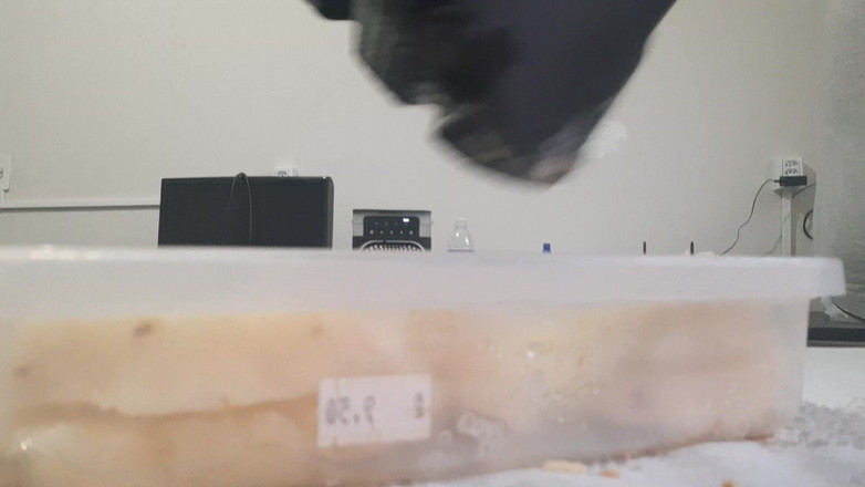 Bladexfeet: 부츠로 파인애플을 으깨기