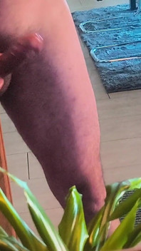 Goot Penis