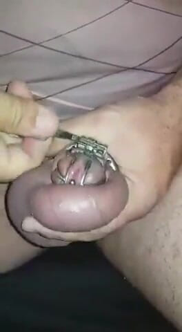 Sissy cumslut: Castità permanente rivetto pop