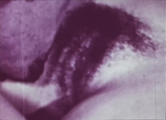 Close Encounter Vintage: Vintage porno retro erotisch theater - vleeseter 4
