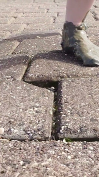 W Pięknych Pończochach Na Morzu Wattowym W Wangerlandzie