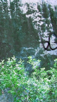 Damaris Leo Galvez Mo 01