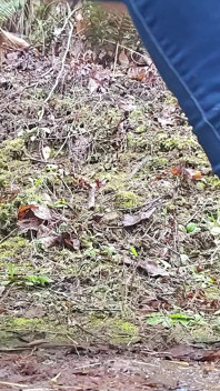 Escursione E Piscio in Un Giorno Di Pioggia