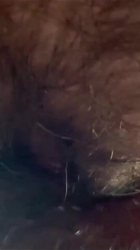 Stream it to find out what Maxx did. 