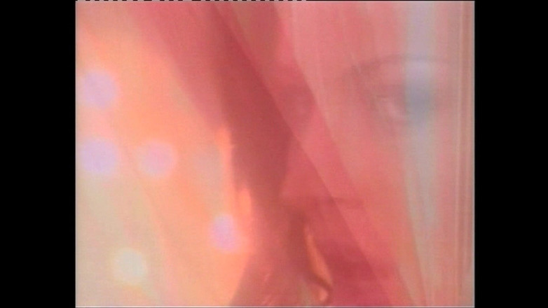 Hard Accademy: Curvele îl distrează