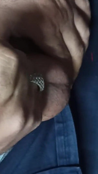 Maskuliner bär, türkischer papi masturbiert im büro unter dem tisch