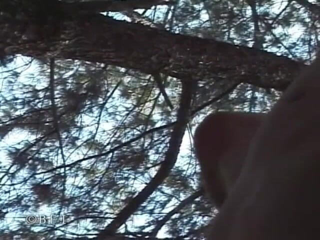 Just Boys: Boys n boys ep5., outdoor fuck - 2 scenes in 1-