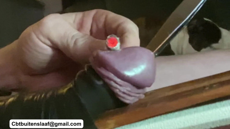 No limit cbt slave: Pesado tormento de pau