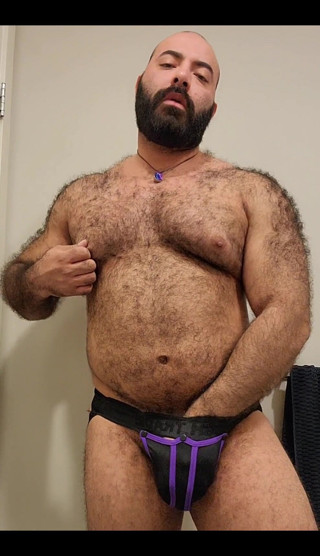 Lobo: Bear Is Here