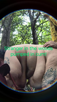 Bended This Stranger Over in the Woods Tree Covered