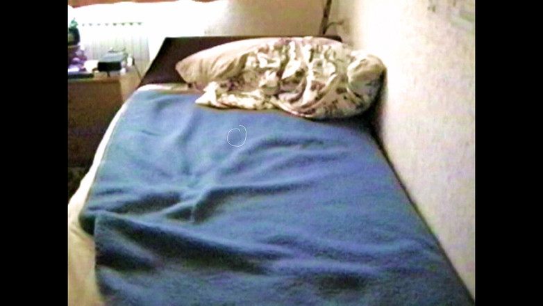 Mark Hannes: Styvmors baddräkt Hump onani