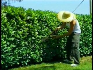 Gays Case: Jantan bercukur berbaring di rumput untuk menghisap tiang keras teman...
