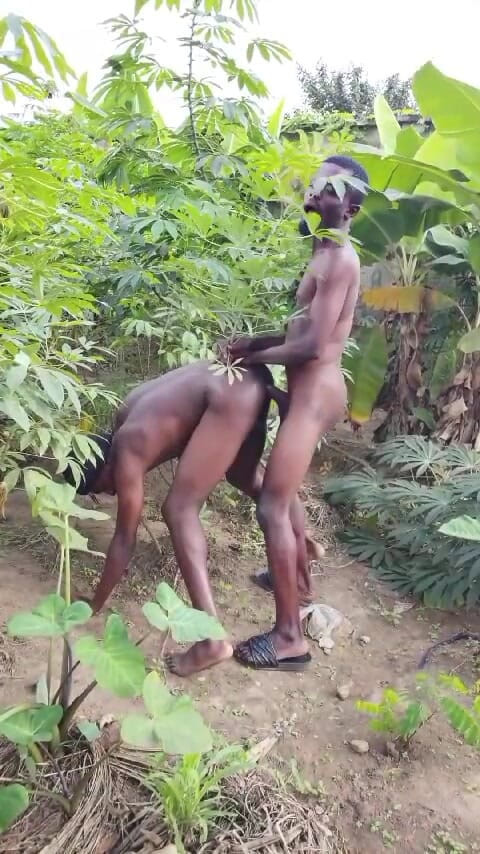 Sexydaddy: Dos pastores africanos teniendo sexo en el arbusto