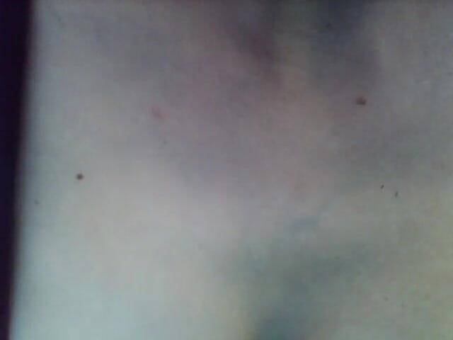 savannahamatoriale: Řeknu ti o faráři