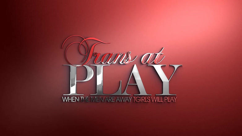 Trans 500: Mit Tania spielen