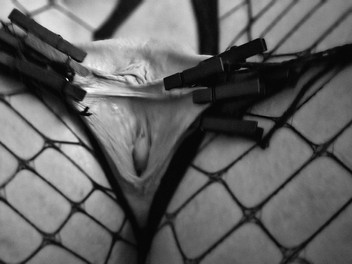 Misses Dickinson and Roughael