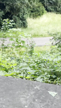 Bbw-meisje trekt perfect slordig af in een park - risicovol en nat