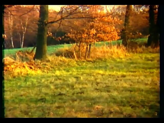 GERMAN PORN CLASSICS: Gatte bagnate in un orgasmo frenesia herzog video