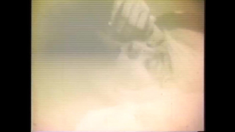 The Unforgettable: Das Gozona-schwein Bekommt Milch