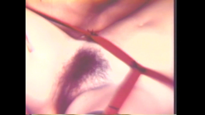 Vintage megastore: Skupina zasraných hajzlů