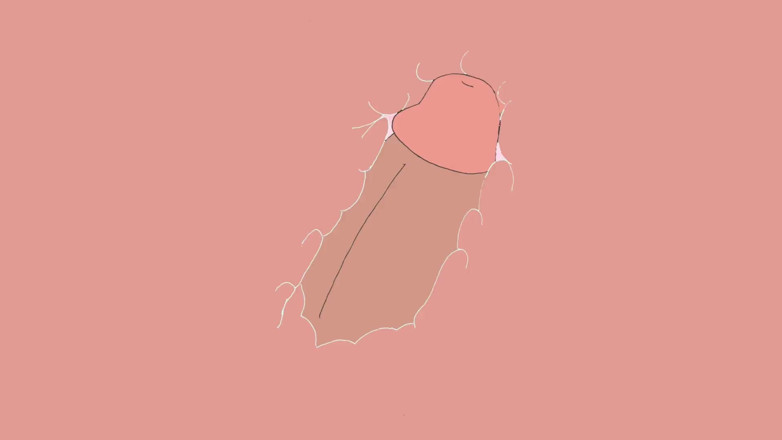 Nikkenikke animation: La naiba, prietena mea m-a dezvirginat și am ejaculat în două secunde!