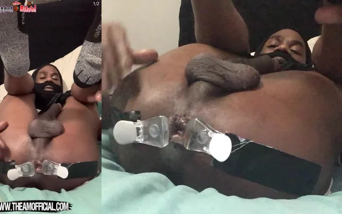 Ass Monkey: Anal Lovers - Dj Buttpussy