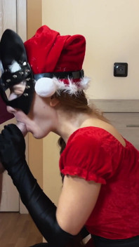Merry Christmas and a Happy New Year From Myredfoxgirl