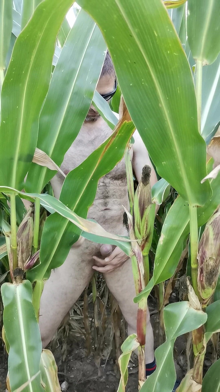 Seksi999: Penis strelen