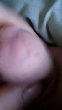 Macera