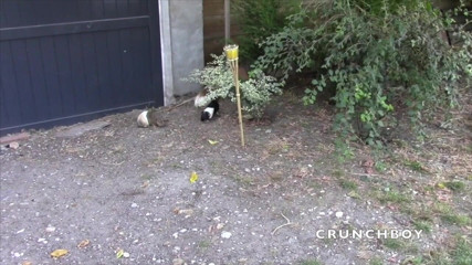 Gaybareback: Französische schlampe von den 2 top-jungs im exhibitionismus-garten ohne gummi gefickt