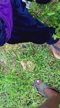 I Had Sex with a Boy Who Came to Work on Our Farm and He Was Very Satisfied with Me Very Much