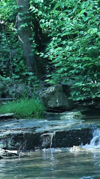 Flexing by the Waterfall, Trying to Sneak a Little Private Moment…