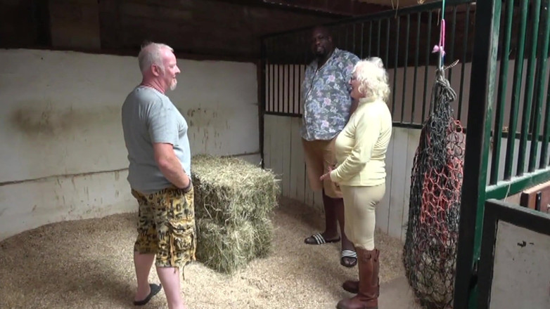 Uk Joolz: Lady Claire and the Farm Hands