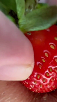 Video amatoriale la fragola è stata posta nel buco del culo di una ragazza magra e ha un odore perfetto