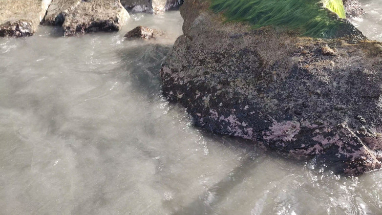 LiL Latin Goddess: Bts Blooper Open Ocean wytryski