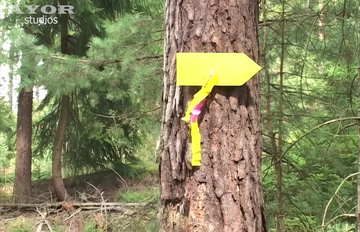 AYOR studios: 잘못된 검문소에서, 섹시한 운동선수들을 위한 구강 쾌락이 기다리고 있다