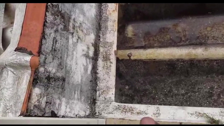 BBIG: Po tréninku, na střeše souseda