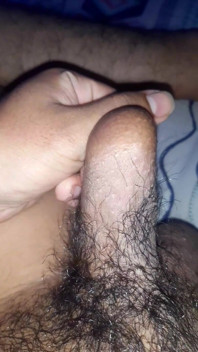 Meu pau