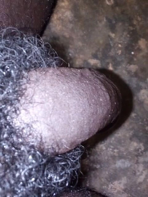 bigBlackie699: Vlastním slabého bílého ptáka se svým představeným