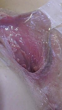 Very Close Spread Pussy Fucking with Dildo and Glass