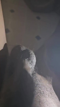 喉が渇いていると思う